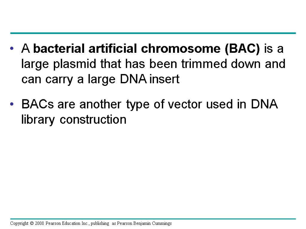 A bacterial artificial chromosome (BAC) is a large plasmid that has been trimmed down